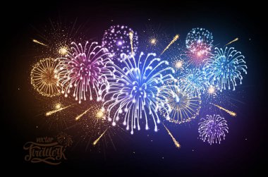 Vektör tatil renkli havai fişek. Bağımsızlık günü