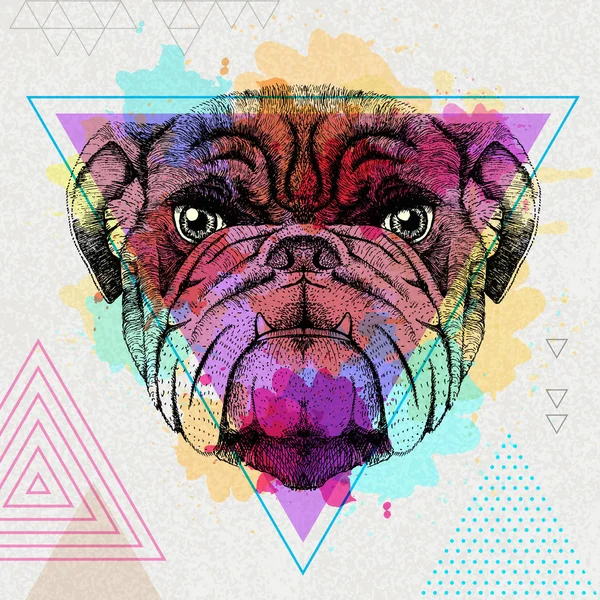 Hipster animal bulldog on artistic polygon watercolor background — Stock Vector