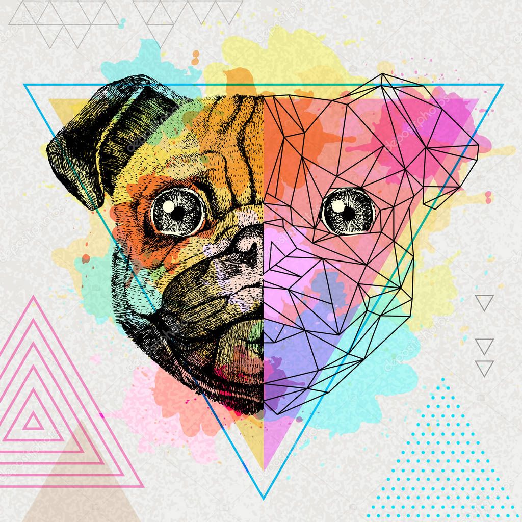 Hipster animal realistic and polygonal pug-dog on artistic watercolor background