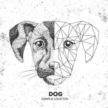 Hipster hayvan gerçekçi ve poligonal köpek yüz