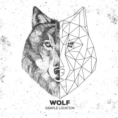 Hipster hayvan gerçekçi ve poligonal kurt yüz. Üçgen hayvan