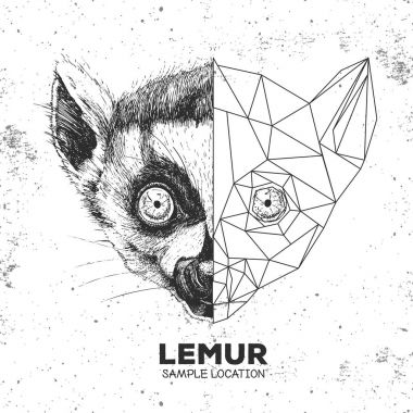 Hipster hayvan gerçekçi ve poligonal lemur yüz