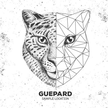 Hipster hayvan gerçekçi ve poligonal cheetah yüz