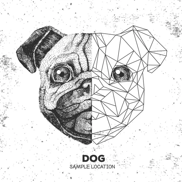 Hipster hayvan gerçekçi ve poligonal pug köpek surat. Üçgen hayvan