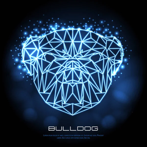 Abstrait polygonal tirangle animal bulldog néon signe. Hipster animal — Image vectorielle