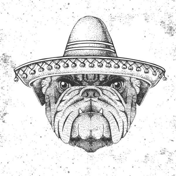 Sombrero şapkası takan hippi hayvan bulldog. El çizimi Bulldog Ağzı — Stok Vektör