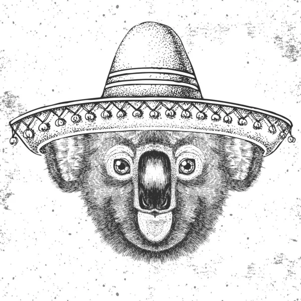 Koala animal Hipster usando un sombrero sombrero. Dibujo a mano Bozal de koala — Vector de stock