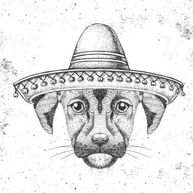 Hipster animal dog wearing a sombrero hat. Hand drawing Muzzle of dog clipart