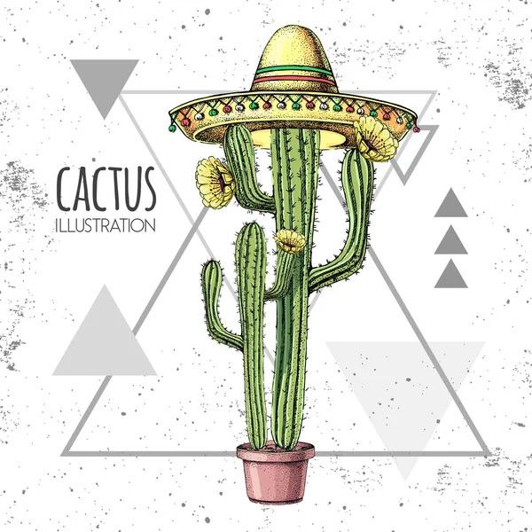 Handtekening cactus in sombrero hoed op grunge driehoek achtergrond. Vectorillustratie — Stockvector