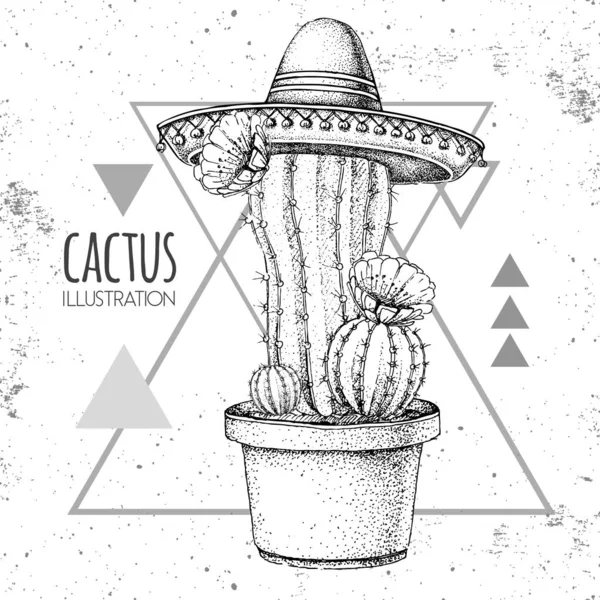 Handtekening cactus in sombrero hoed op grunge driehoek achtergrond. Vectorillustratie — Stockvector