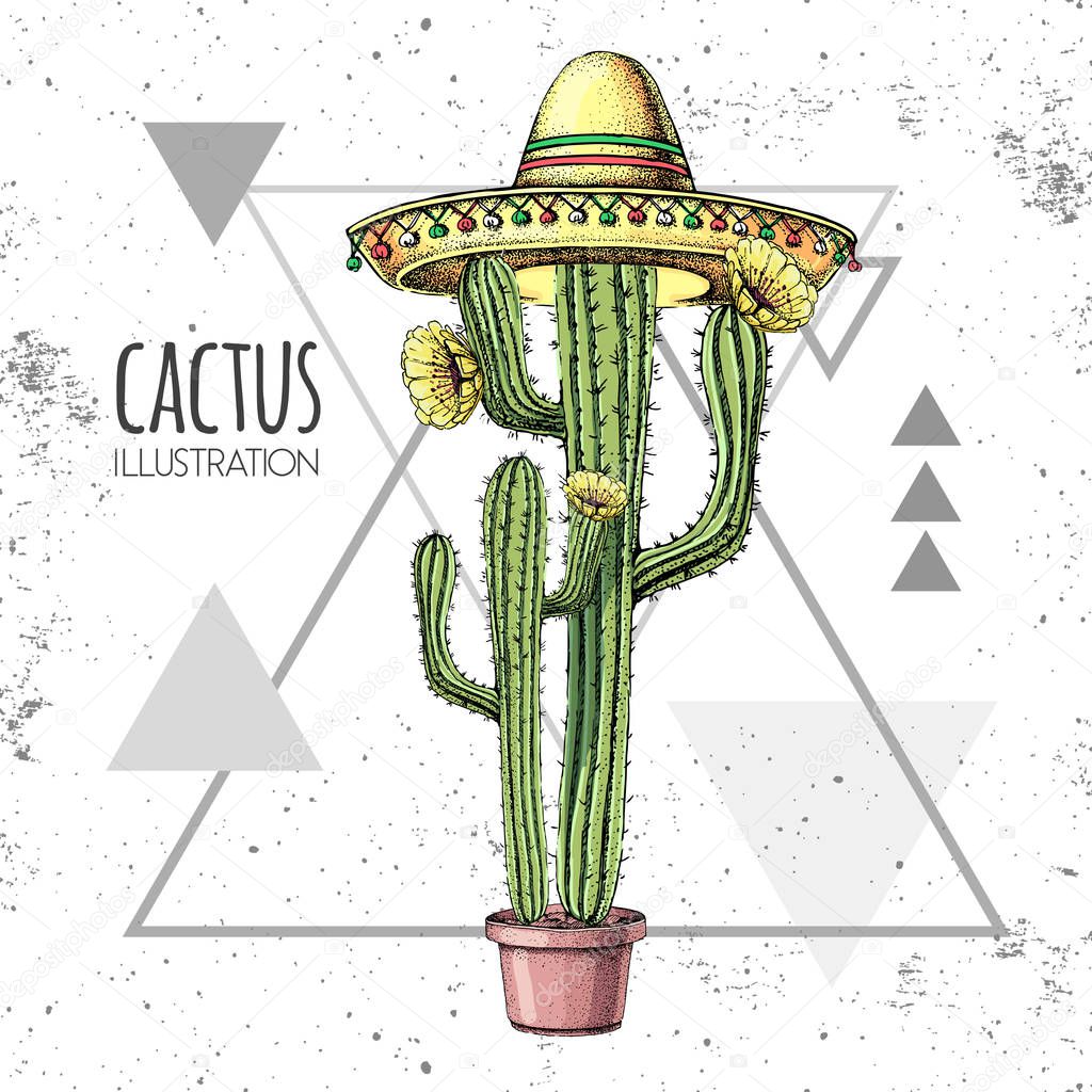 Hand drawing cactus in sombrero hat on grunge triangle background. Vector illustration