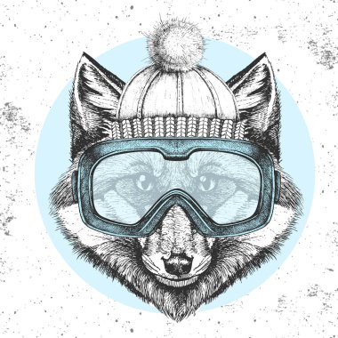 Kış şapkalı ve kar kayağı gözlüklü hippi hayvan tilkisi. Tilkinin el çizimi Ağzı