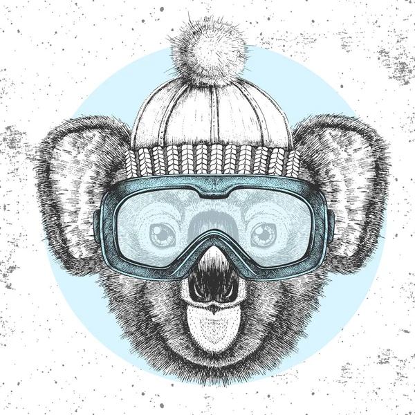 Hipster dier koala in winterhoed en snowboard bril. Handtekening Muilkorf van koala — Stockvector