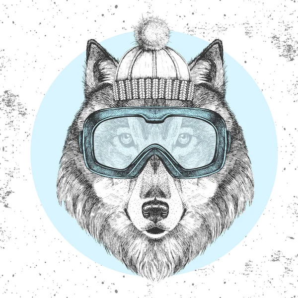 Hipster djur varg i vinter hatt och snowboard glasögon. Handritning Munstycke av varg — Stock vektor