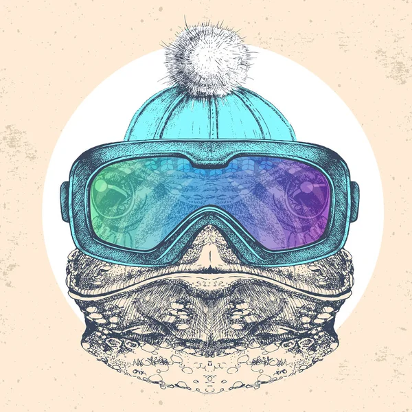 Rana animal Hipster en gorro de invierno y gafas de snowboard. Dibujo a mano Bozal de rana — Vector de stock