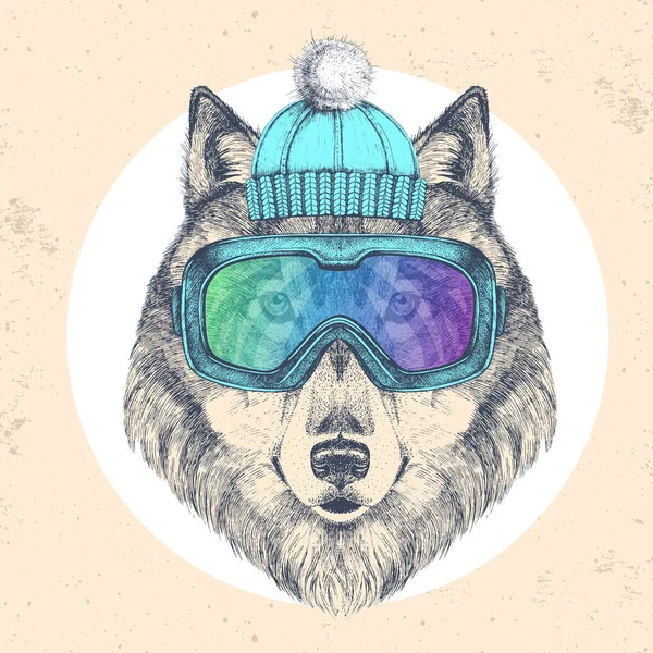 Lobo animal Hipster en sombrero de invierno y gafas de snowboard. Dibujo a mano Bozal de lobo — Archivo Imágenes Vectoriales