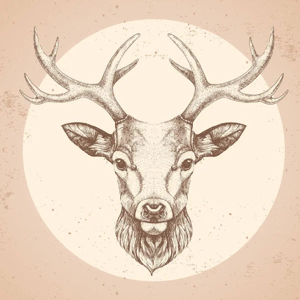 ヒップスター動物鹿。手描き鹿の銃口 — ストックベクタ