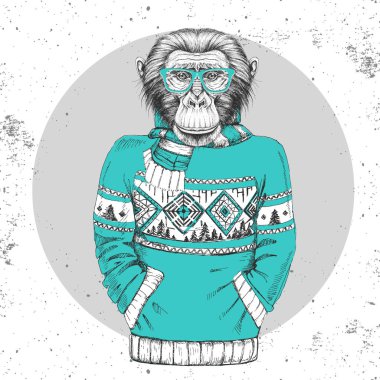 Retro Hippi Moda Maymunu Kazak gibi giyinmiş.