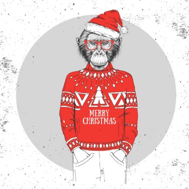 Noel Hipster moda hayvan maymunu. Yeni yıl şapkası ve kazak giymiş.