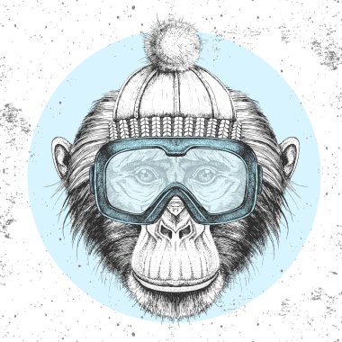 Kış şapkalı ve snowboard gözlüklü hippi hayvan maymunu. Şempanzenin el çizimi Ağzı