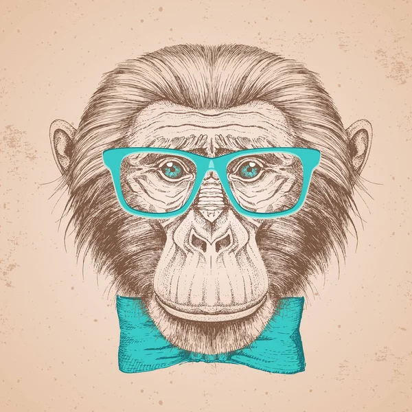 Mono animal Hipster. Dibujo a mano Bozal de chimpancé — Archivo Imágenes Vectoriales