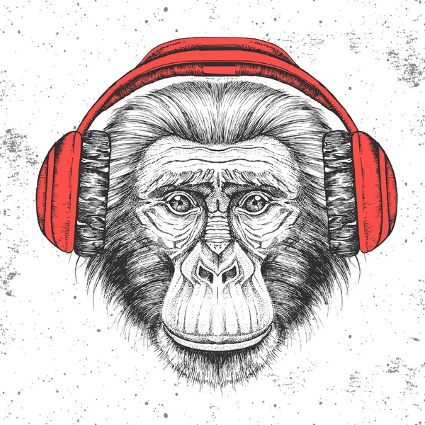 Mono animal Hipster con auriculares. Dibujo a mano Bozal de chimpancé animal — Vector de stock