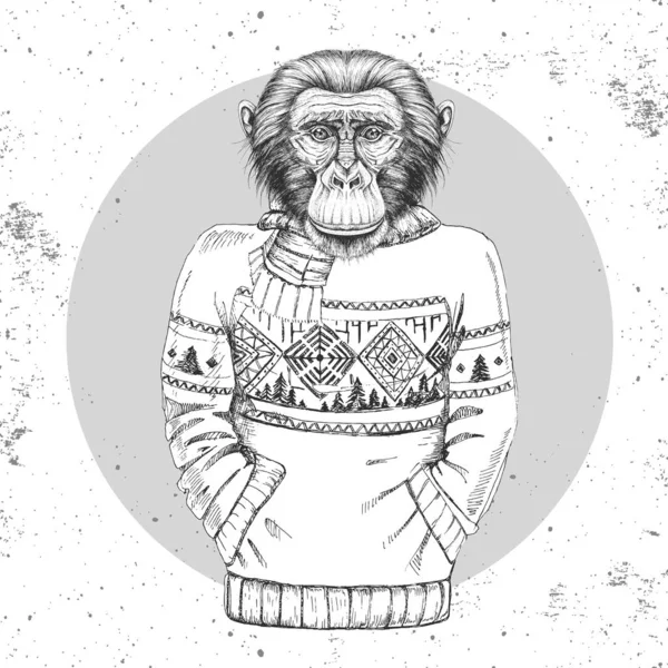 Retro hipster módní zvíře opice oblečené ve svetru. — Stockový vektor