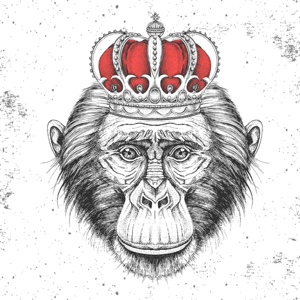 Mono animal Hipster en corona. Dibujo a mano Bozal de chimpancé — Vector de stock