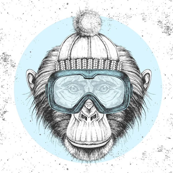 Hipster animal macaco em chapéu de inverno e óculos de snowboard. Desenho à mão Bocal de chimpanzé —  Vetores de Stock