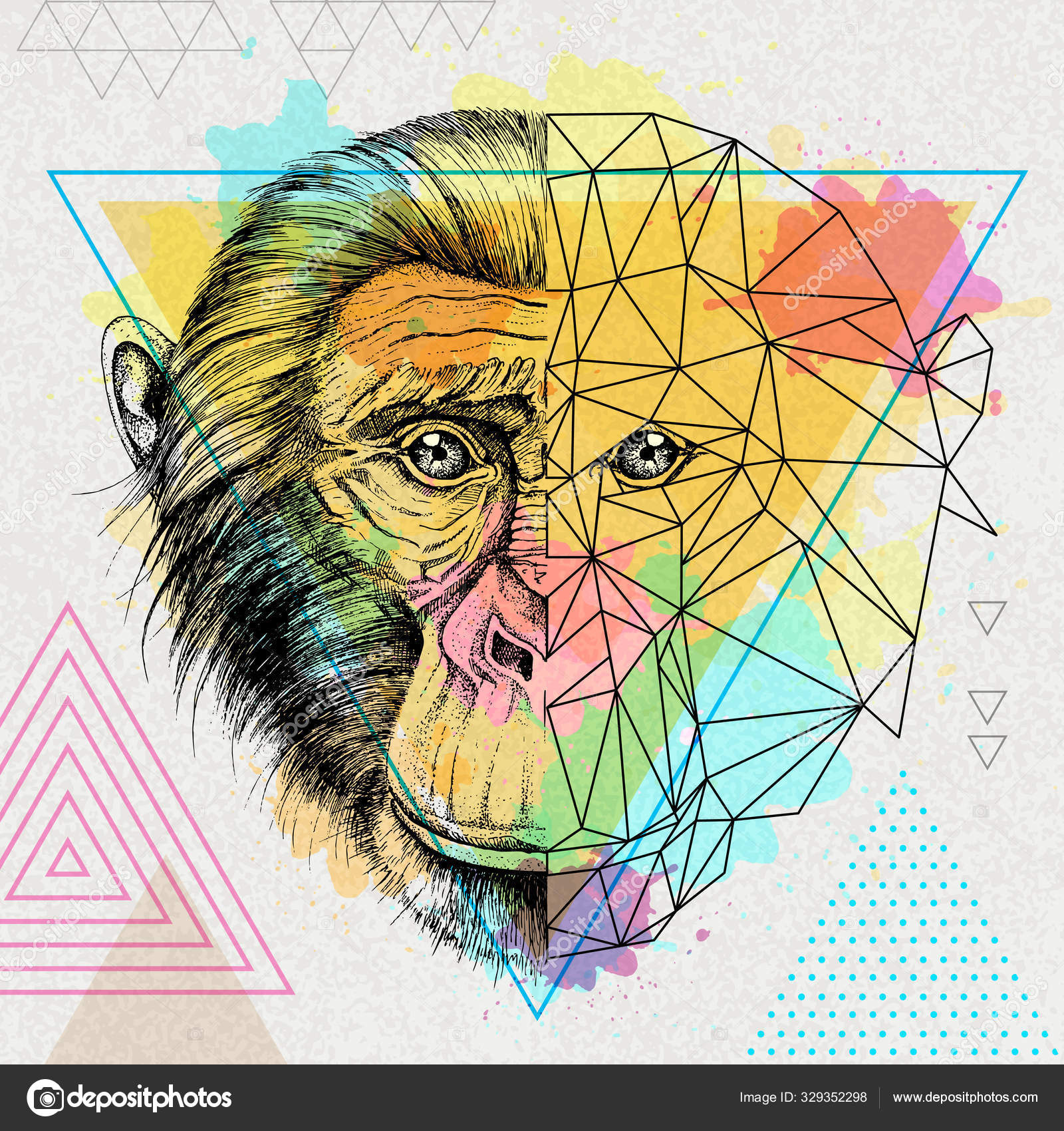 Cabeça de macaco, ilustração realista