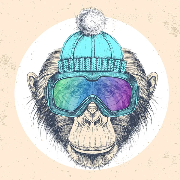 Hipster animal macaco em chapéu de inverno e óculos de snowboard. Desenho à mão Bocal de chimpanzé —  Vetores de Stock