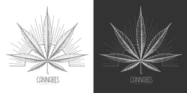 Mano Realistica Disegno Silhouette Foglia Cannabis Sfondo Giorno Notte Illustrazione — Vettoriale Stock