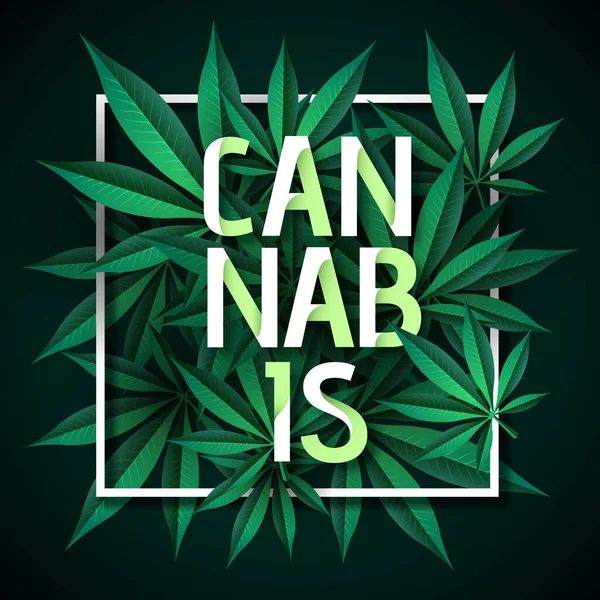 Cartel Tipografía Cannabis Con Hojas Verdes Cannabis — Vector de stock