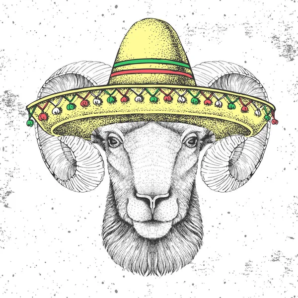 แรมส ปสเตอร ฟลอนสวมหมวก Sombrero อวาดภาพ ศนาของแกะ — ภาพเวกเตอร์สต็อก