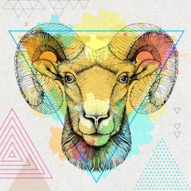 Sanatsal çokgen suluboya arka planda hippi gerçekçi hayvan koçu veya mouflon