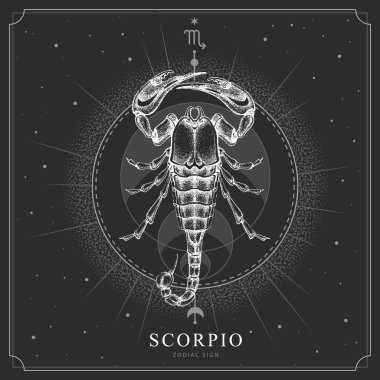 Astroloji burcuyla modern büyü kartı. Akrep burcu. Gerçekçi el çizimi akrep çizimi