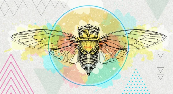 Realistické Cicada Ilustrace Uměleckém Polygonu Akvarel Pozadí Astrologické Znamení Zvěrokruhu — Stockový vektor