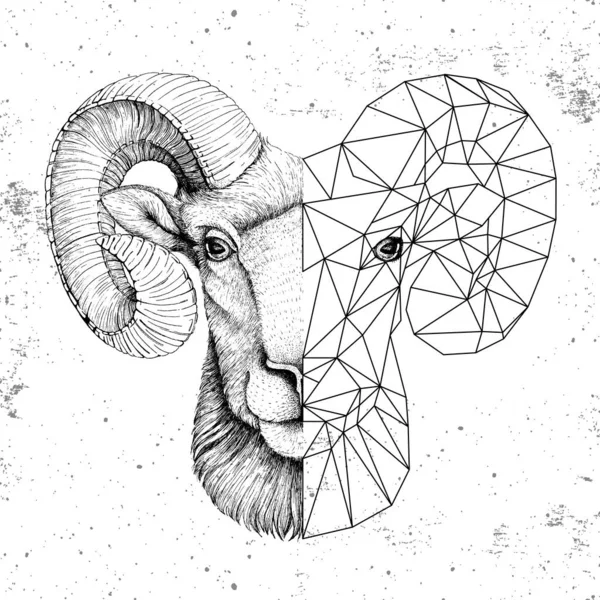 Hipster Animal Réaliste Polygonale Visage Bélier Mouflon Sur Fond Grunge — Image vectorielle