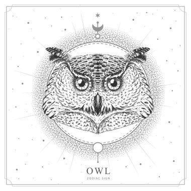 Astroloji baykuş burcuyla modern büyü kartı. Gerçekçi el baykuş kafası çiziyor