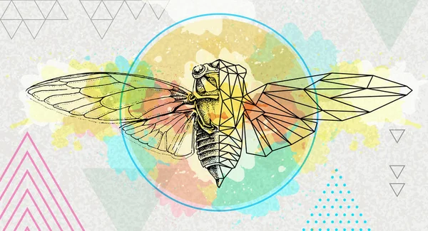 Ilustração Cicada Realista Poligonal Sobre Fundo Aquarela Artística Signo Zodíaco — Vetor de Stock