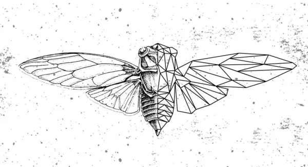 Realistische Und Polygonale Zikadendarstellung Sternzeichen Der Astrologie — Stockvektor