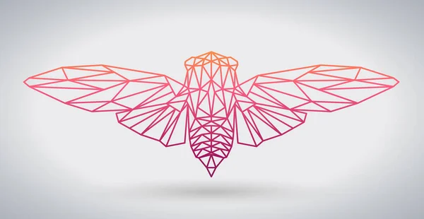 Hipster Polygonální Zvíře Motýl Nebo Cikáda — Stockový vektor