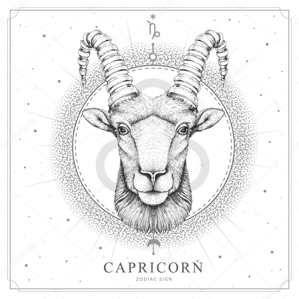 Modern magic witchcraft card with astrology Capricorn zodiac sign. Realistic hand drawing ram or mouflon head