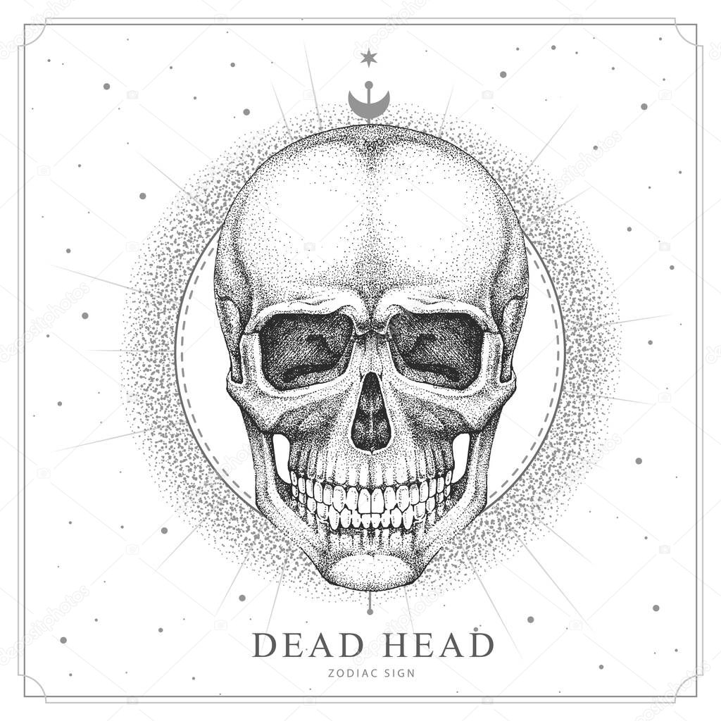 Modern magic witchcraft card with astrology human skull sign. Realistic hand drawing dead head