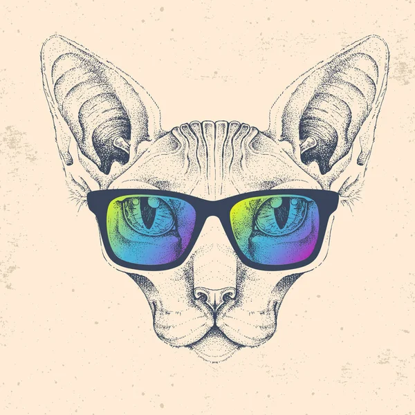 Hipster Djur Sfinxkatt Med Glasögon Handritning Kattmynning — Stock vektor