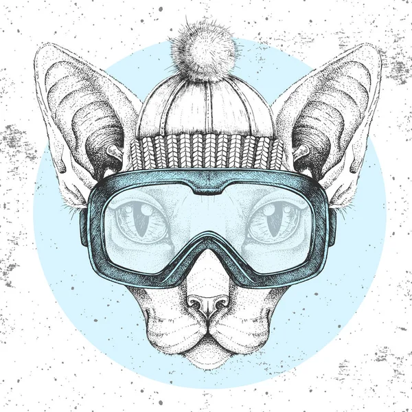 Hipster Djur Sfinxkatt Vinter Hatt Och Snowboard Glasögon Handritning Kattmynning — Stock vektor