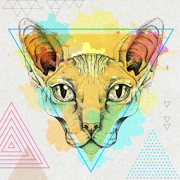 Hipster Realistyczny Zwierzak Kot Sfinks Artystycznym Tle Wielobarwnego Akwarela — Wektor stockowy
