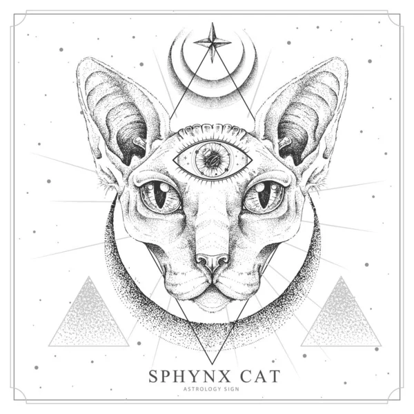 现代魔法魔法卡 带有窒息猫和目光远大的眼睛 现实的手绘狮身人面像 — 图库矢量图片