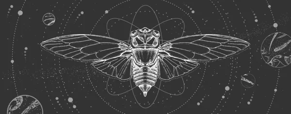 Moderne Zauberkarte Mit Solaranlage Und Zikade Handzeichnung Okkulte Vektorillustration — Stockvektor