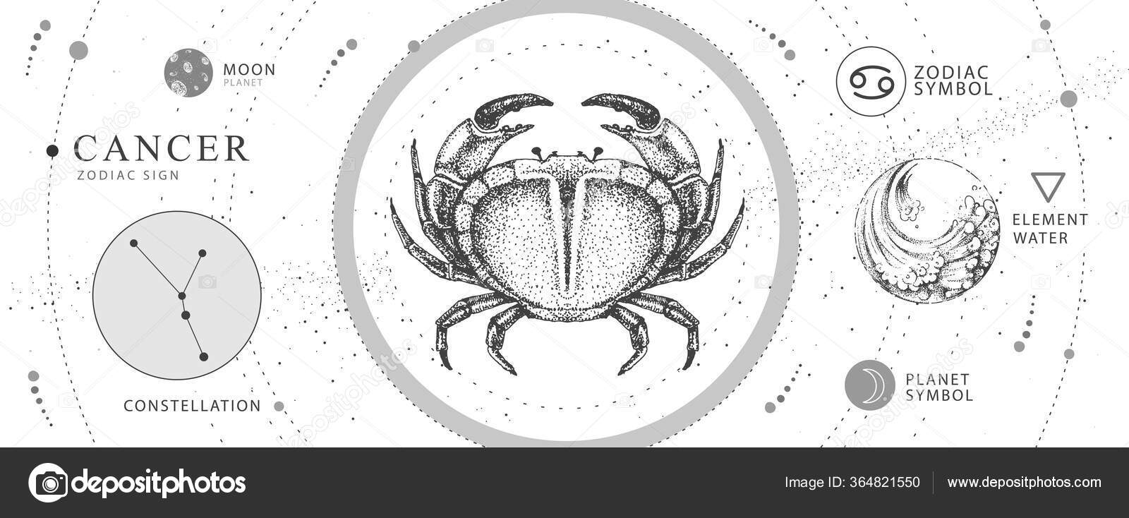 Modern Magic Witchcraft Card Astrology Cancer Zodiac Sign Realistic Hand Stock Vector Image By C Annbozshko Modern Magic Witchcraft Card Astrology Cancer Zodiac Sign Realistic Hand Stock Vector Image By C Annbozshko